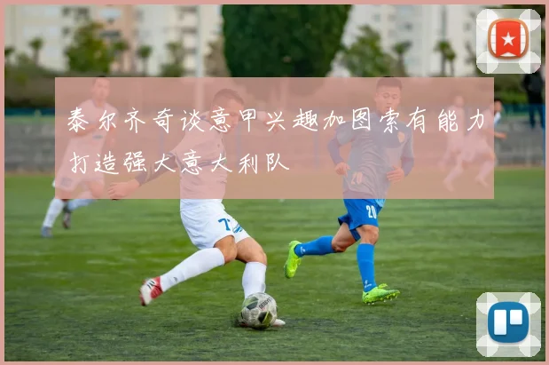 泰尔齐奇谈意甲兴趣加图索有能力打造强大意大利队